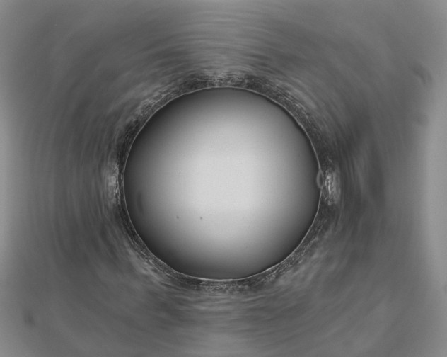 X0000112460963200908311326