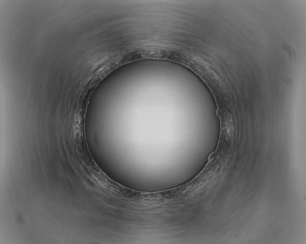 X0000112460964200908311326