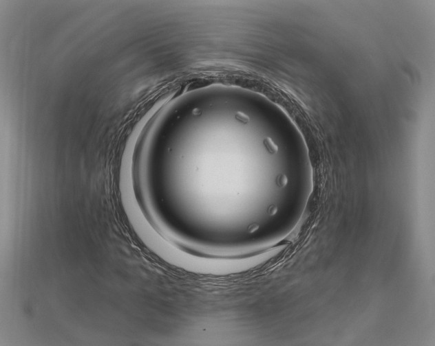 X0000112460965200908311326