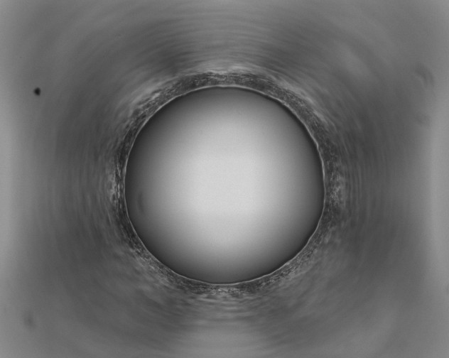 X0000112460966200908311326