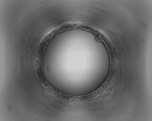 X0000112460967200908311326