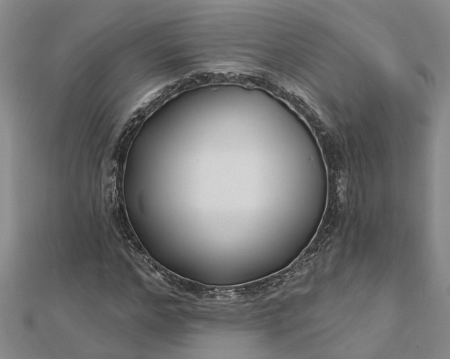 X0000112460968200908311326