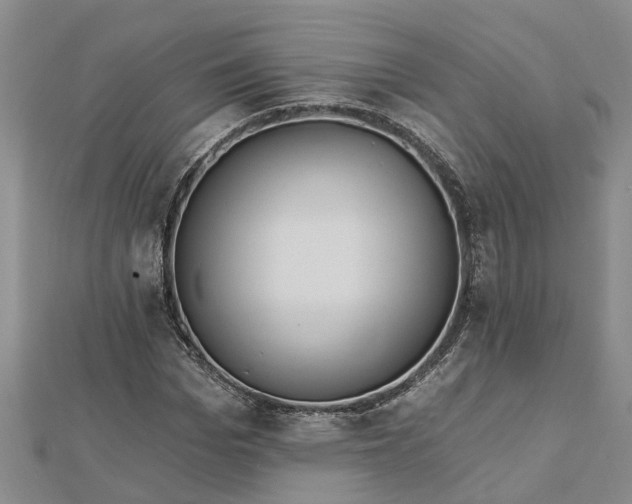 X0000112460969200908311326