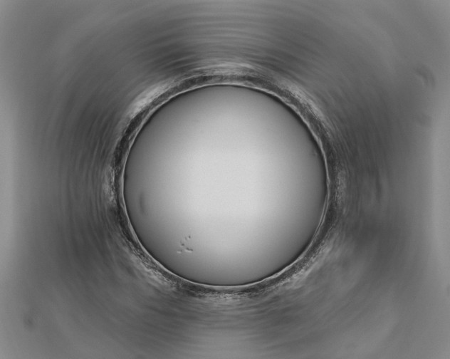 X0000112460970200908311326