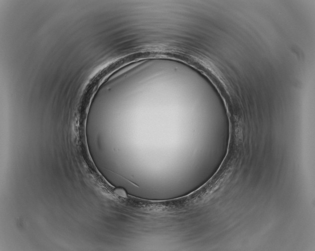 X0000112460971200908311326