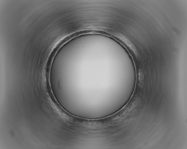 X0000112460972200908311326