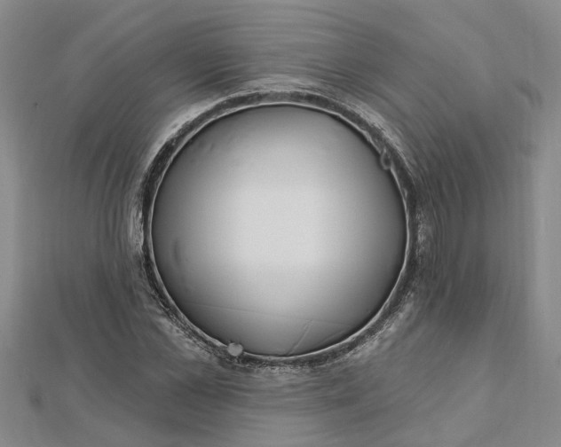 X0000112460973200908311326