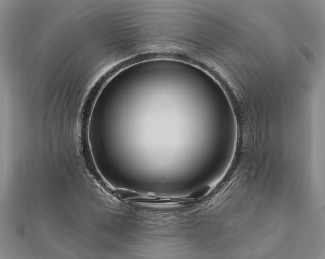 X0000112460975200908311326