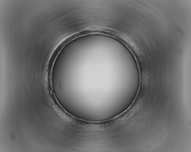 X0000112460976200908311326