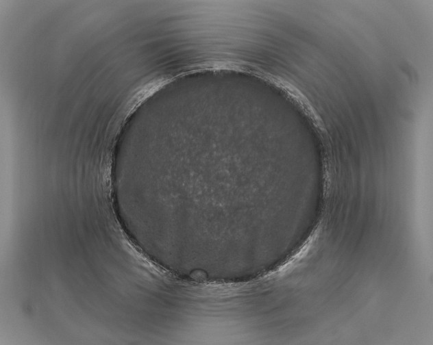 X0000112460977200908311326