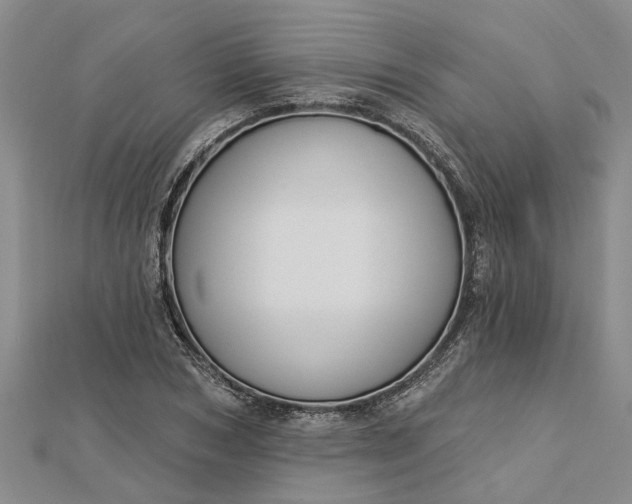 X0000112460978200908311326