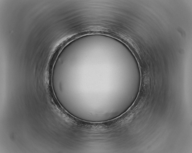 X0000112460979200908311326