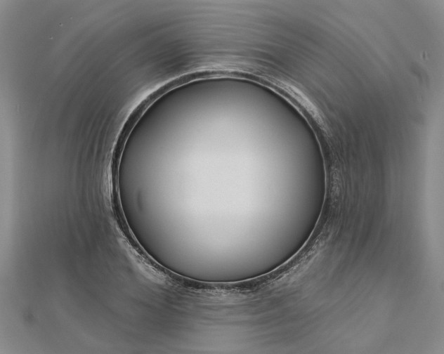 X0000112460980200908311326