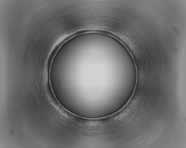 X0000112460982200908311326