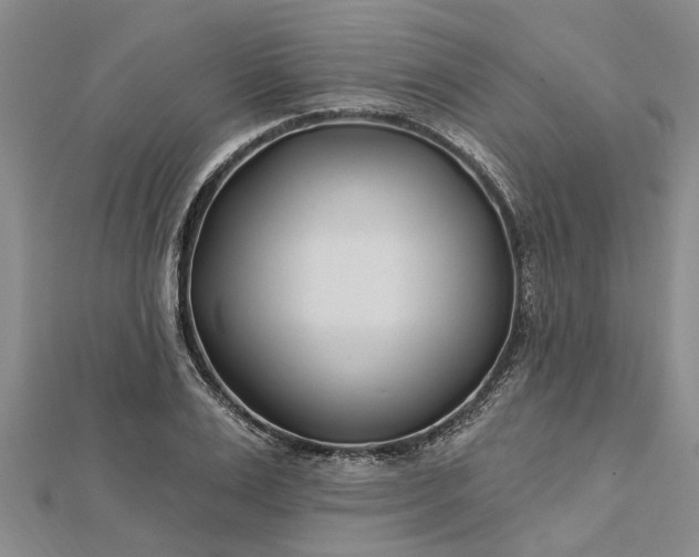 X0000112460983200908311326