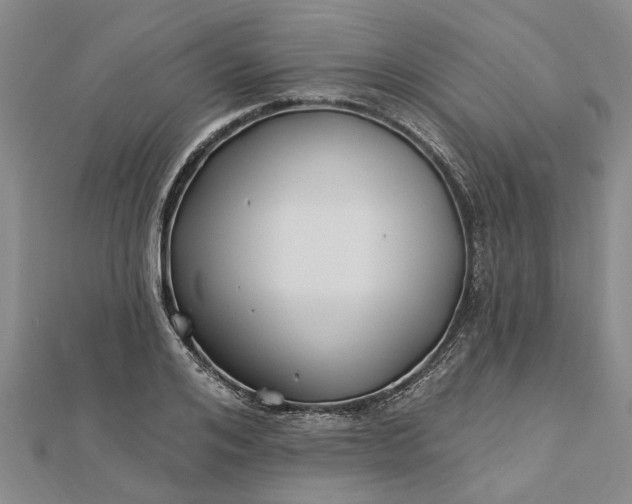 X0000112460984200908311326