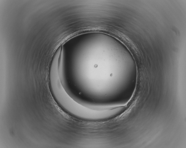 X0000112460985200908311326