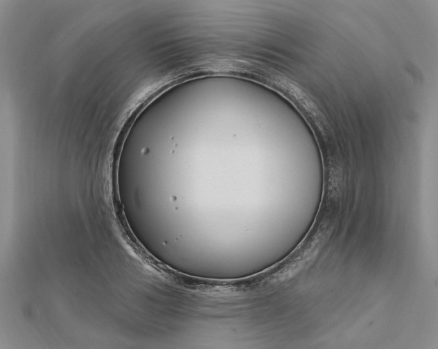 X0000112460986200908311326