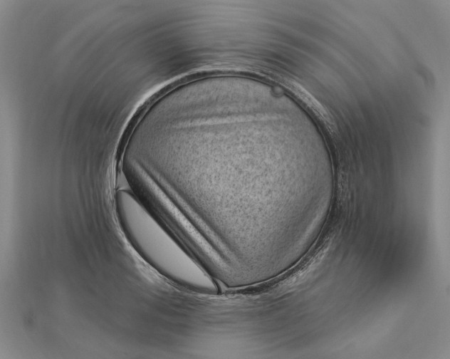 X0000112460988200908311326