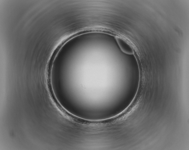 X0000112460989200908311326