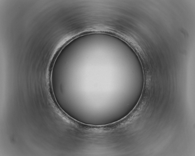 X0000112460990200908311326