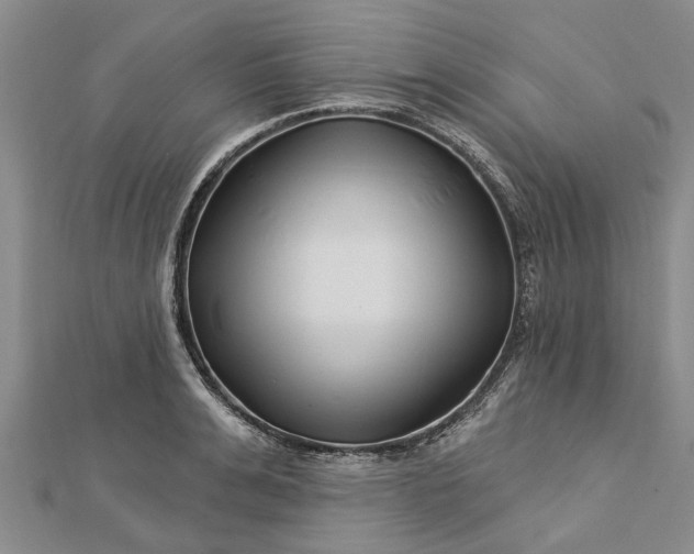 X0000112460991200908311326