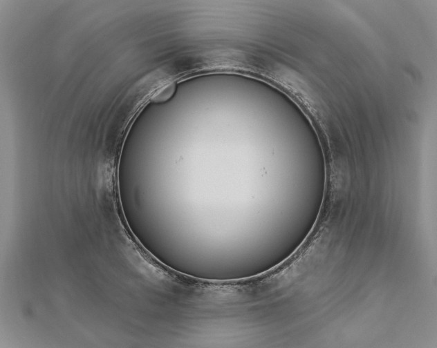 X0000112460993200908311326