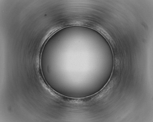 X0000112460994200908311326