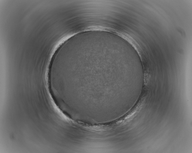 X0000112460995200908311326