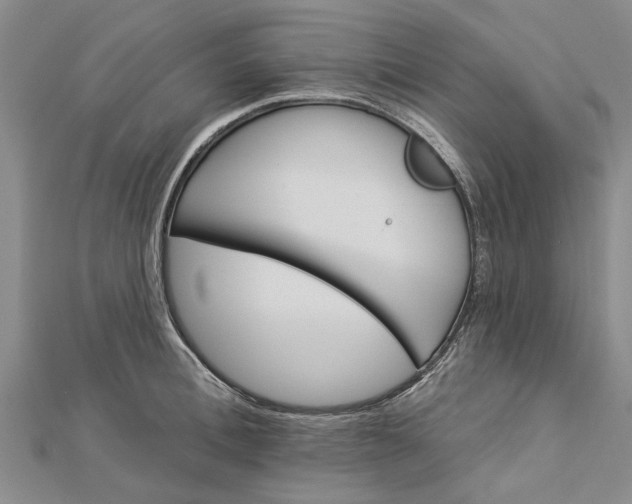 X0000112460996200908311326