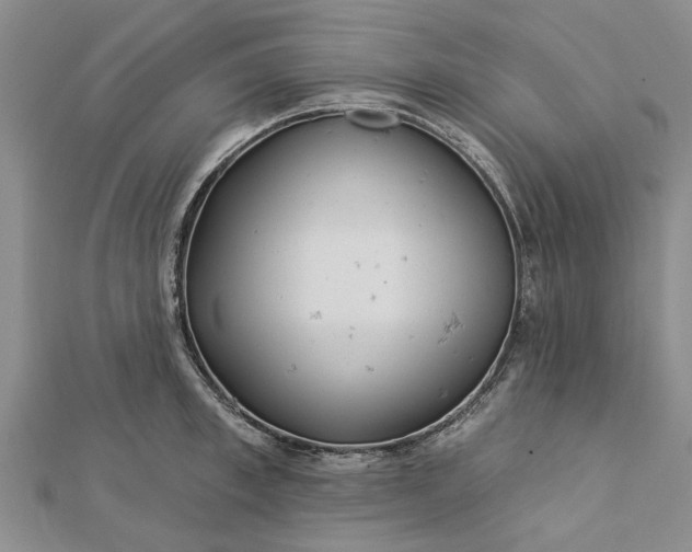 X0000112460997200908311326