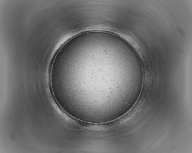 X0000112460998200908311325