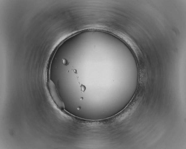 X0000112460999200908311325