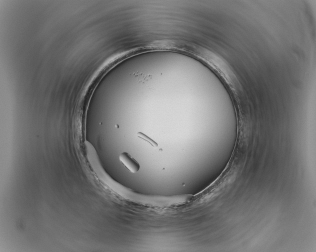 X0000112461000200908311325