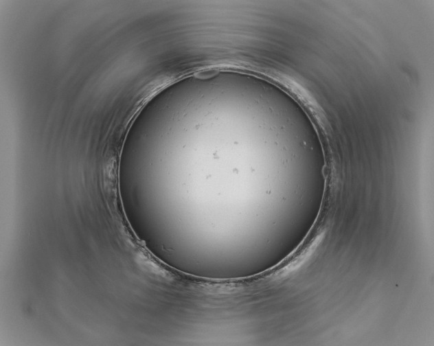 X0000112461001200908311325