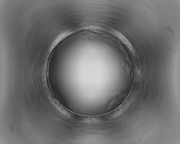 X0000112461002200908311325