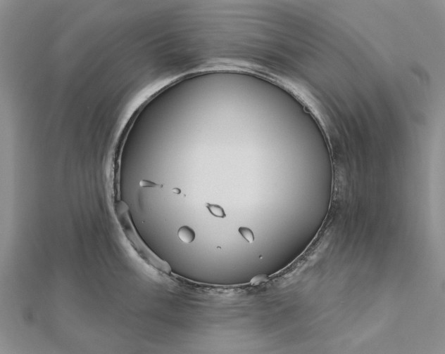 X0000112461003200908311325