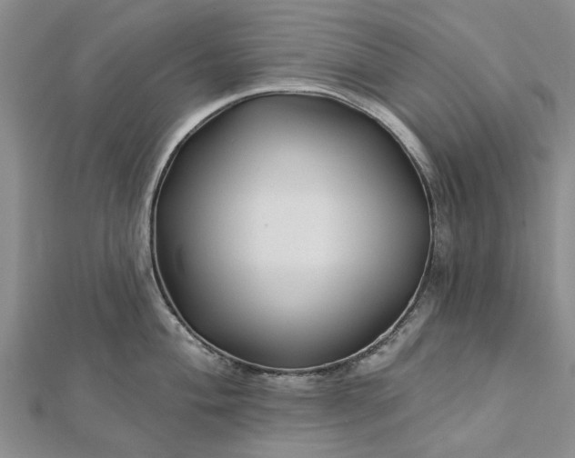 X0000112461004200908311325