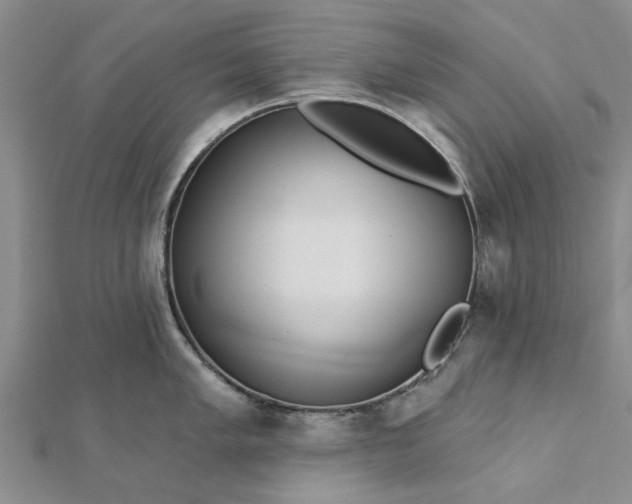 X0000112461005200908311325