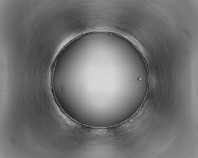 X0000112461006200908311325