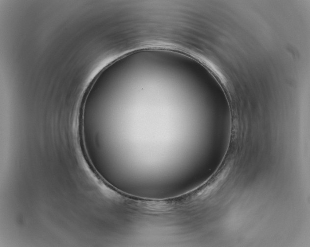 X0000112461007200908311325