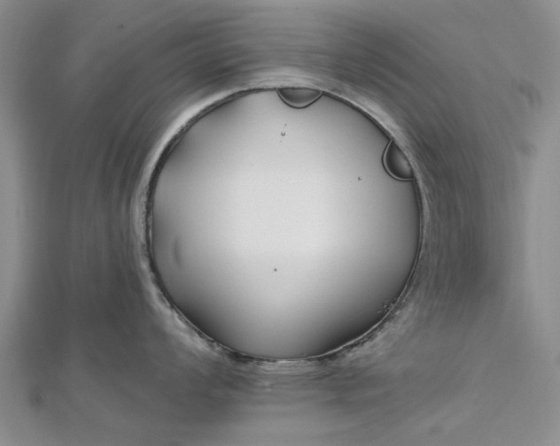 X0000112461008200908311325