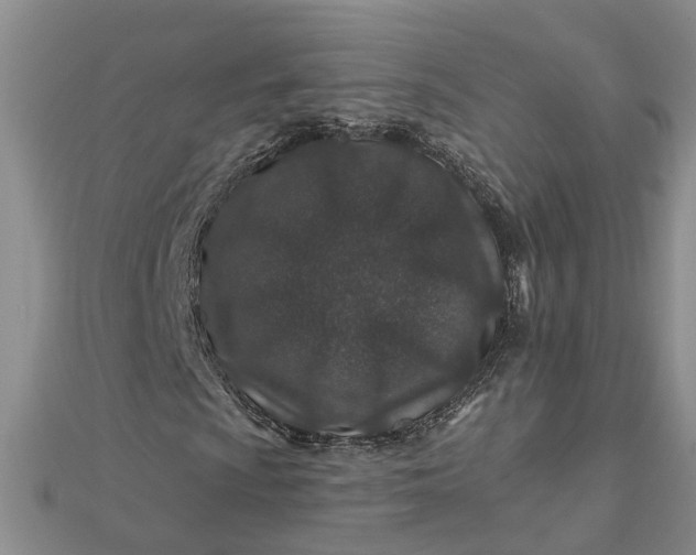 X0000112461009200908311325