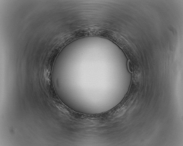 X0000112461010200908311325