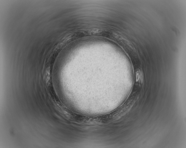 X0000112461011200908311325