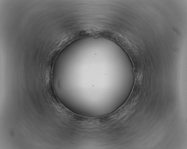 X0000112461012200908311325