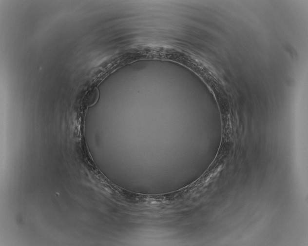 X0000112461013200908311325