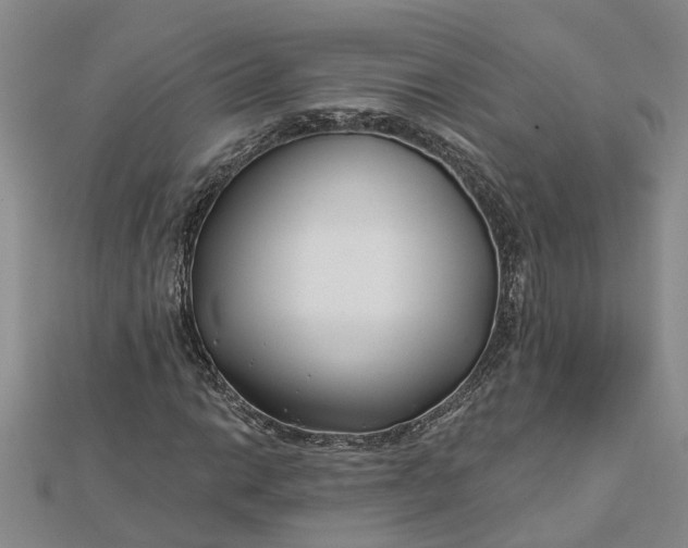 X0000112461014200908311325