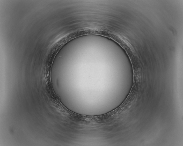 X0000112461015200908311325