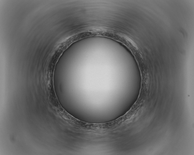 X0000112461016200908311325